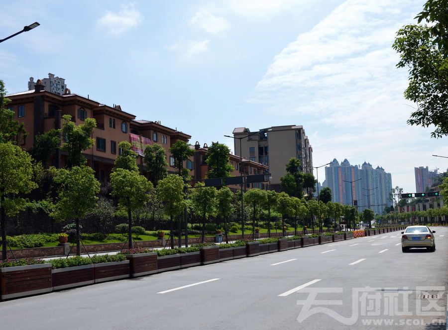 雨后初霁,大美自贡南湖,沿滩新城 - 城市论坛 - 天府社区