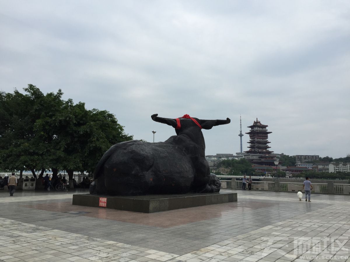 铁牛广场的铁牛戴大红花了 - 绵阳论坛 - 天府社区