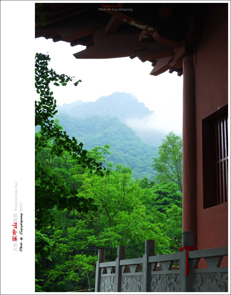 【闲照】大邑:雾中山随拍之开化寺