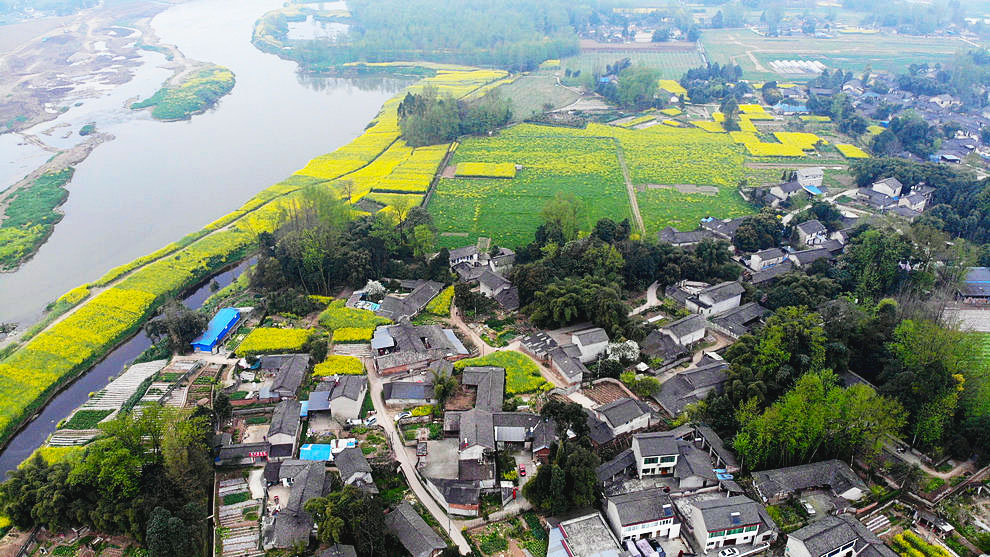 阳春三月俯瞰邛崃回龙两河村菜花