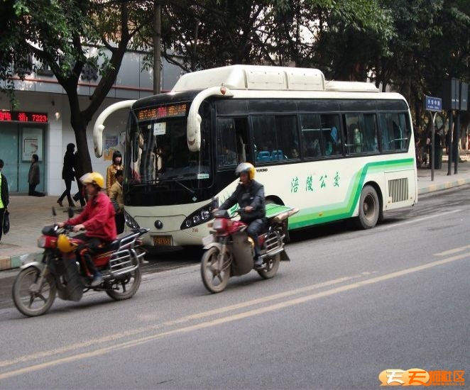 涪陵公交车 (本人实拍) 评论图片