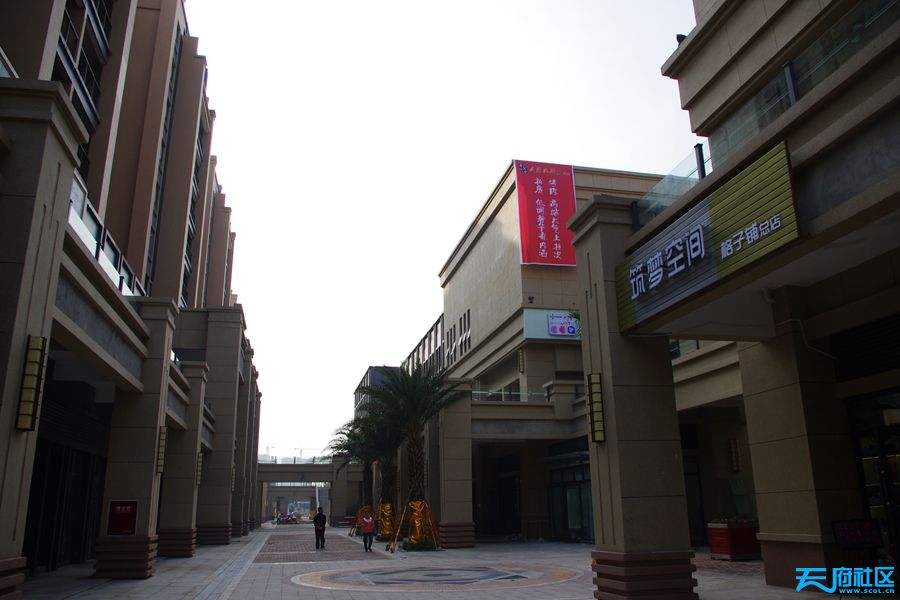 金堂大学城