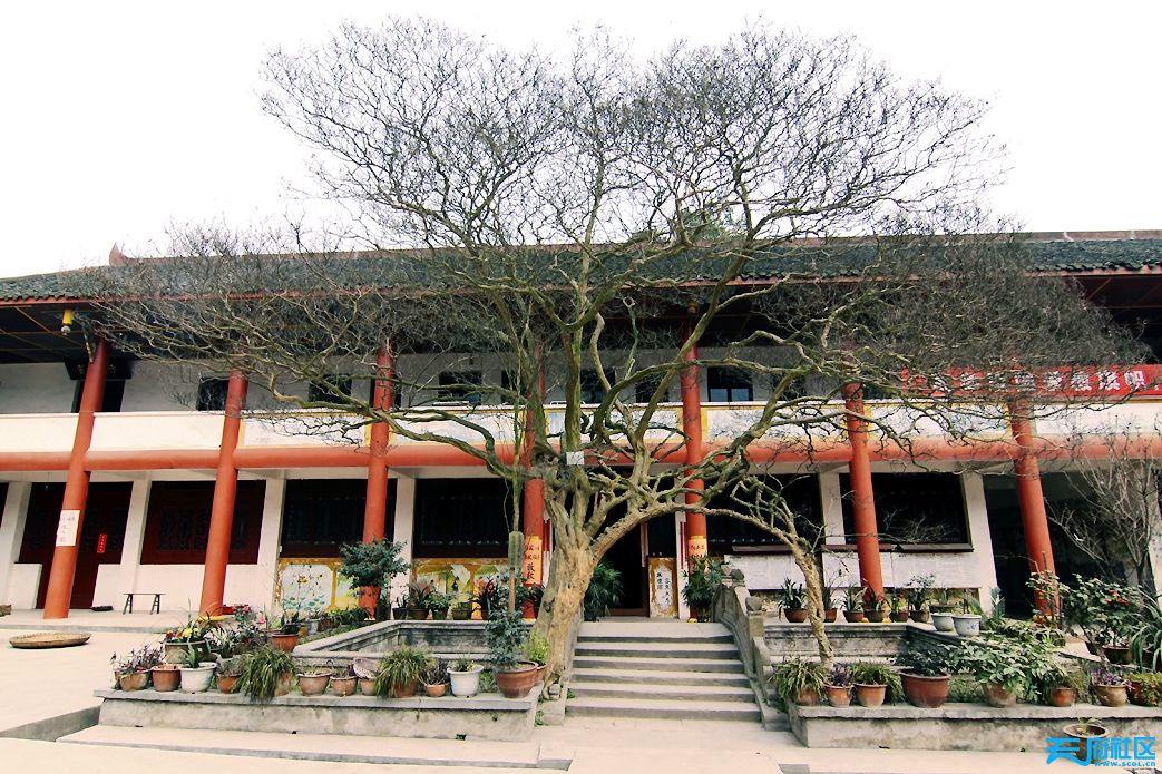 綿竹 三溪寺 512地震唯一沒有被破壞的寺廟 齋飯很有特色遠近聞名