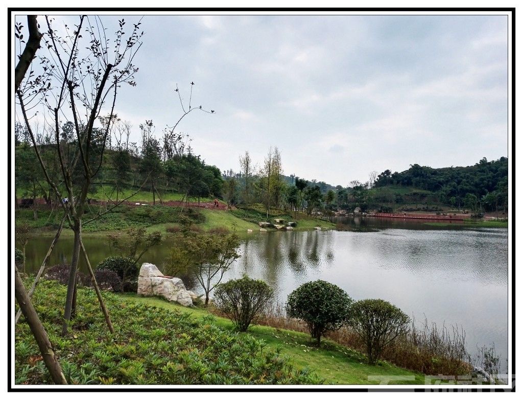 秋天的自貢臥龍湖溼地公園