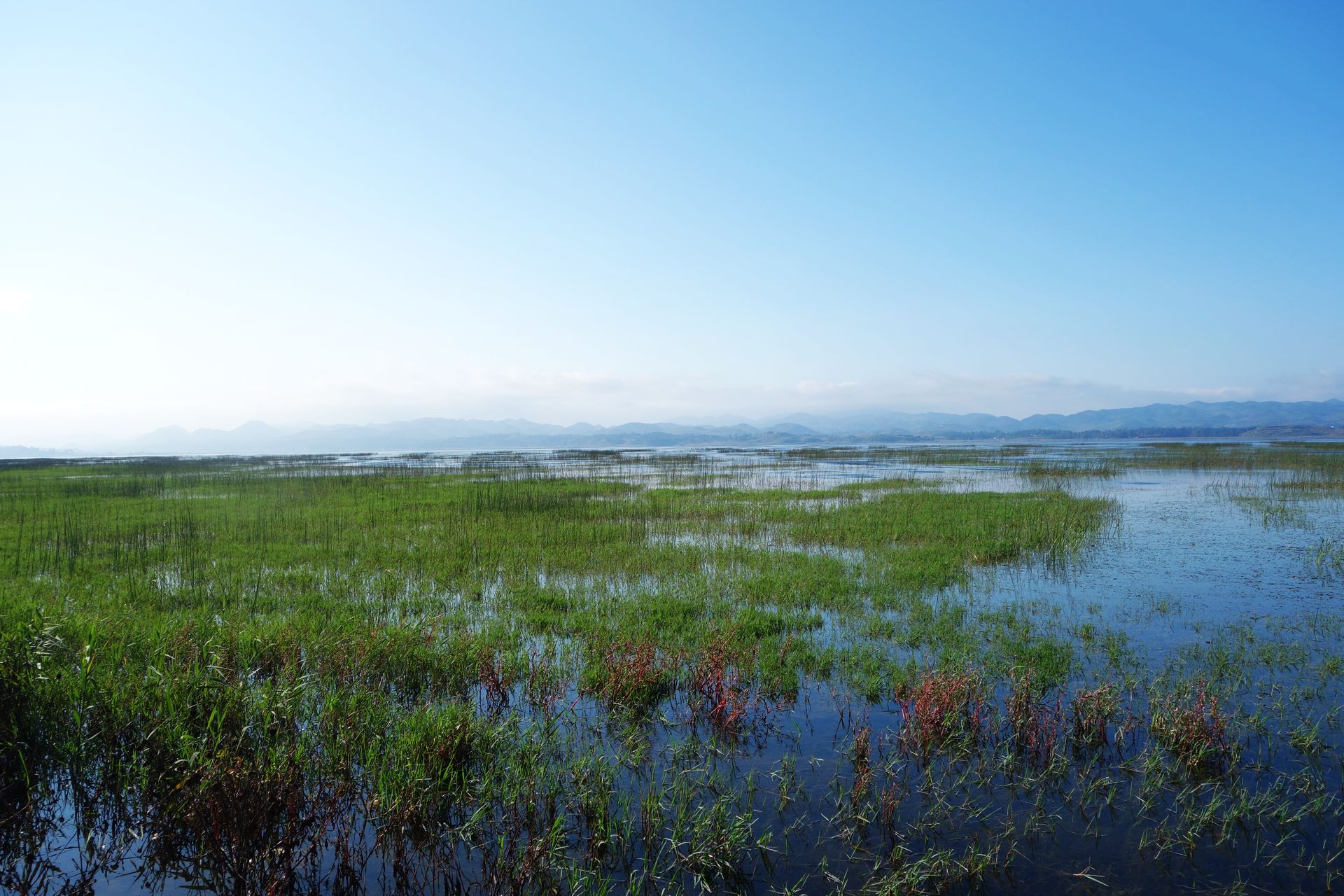 威宁草海风景图片图片