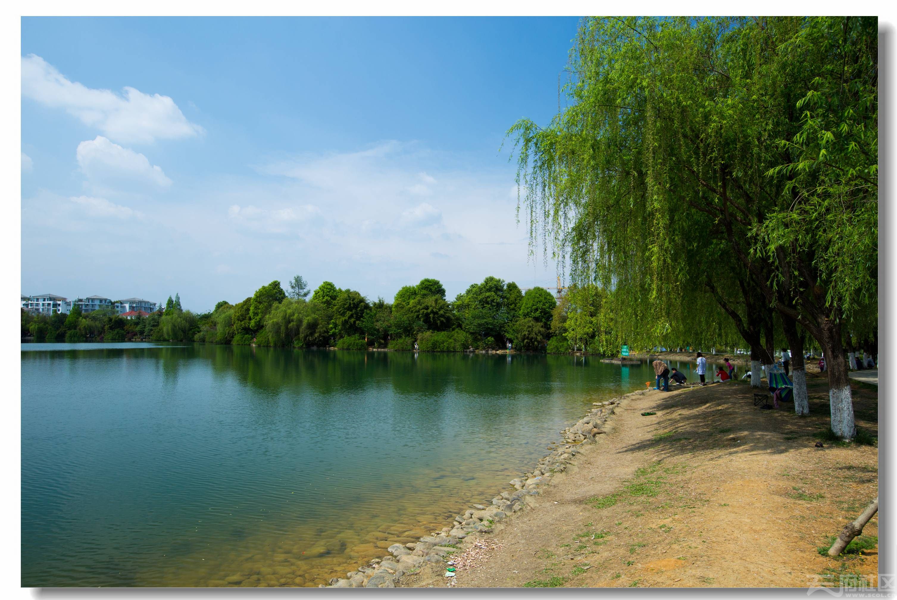 双城区人工湖图片