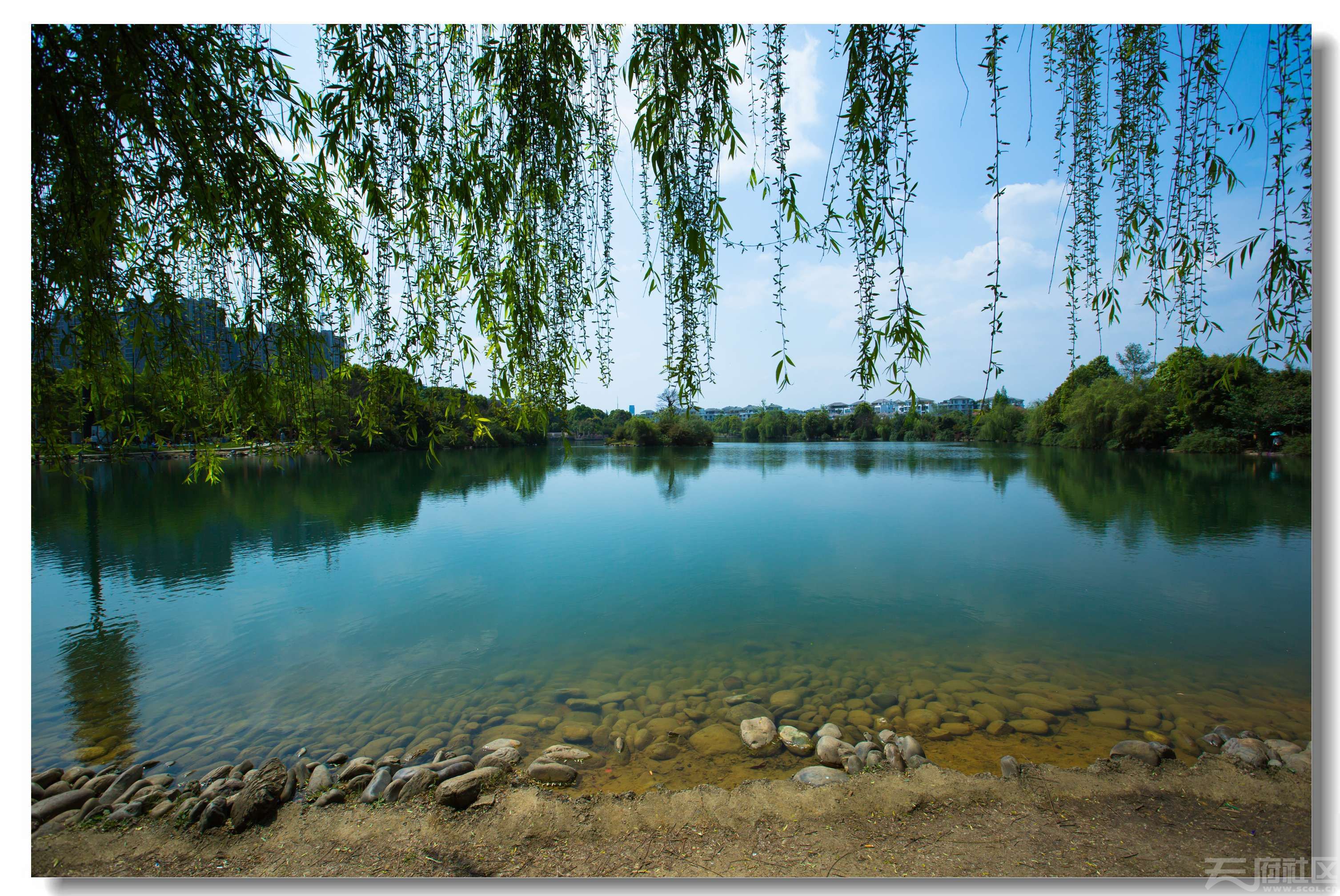 延津县人工湖图片