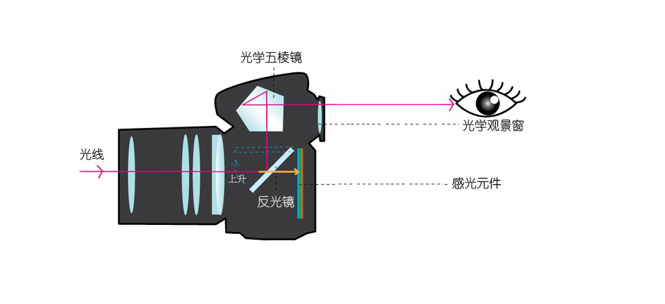 双反相机原理图片