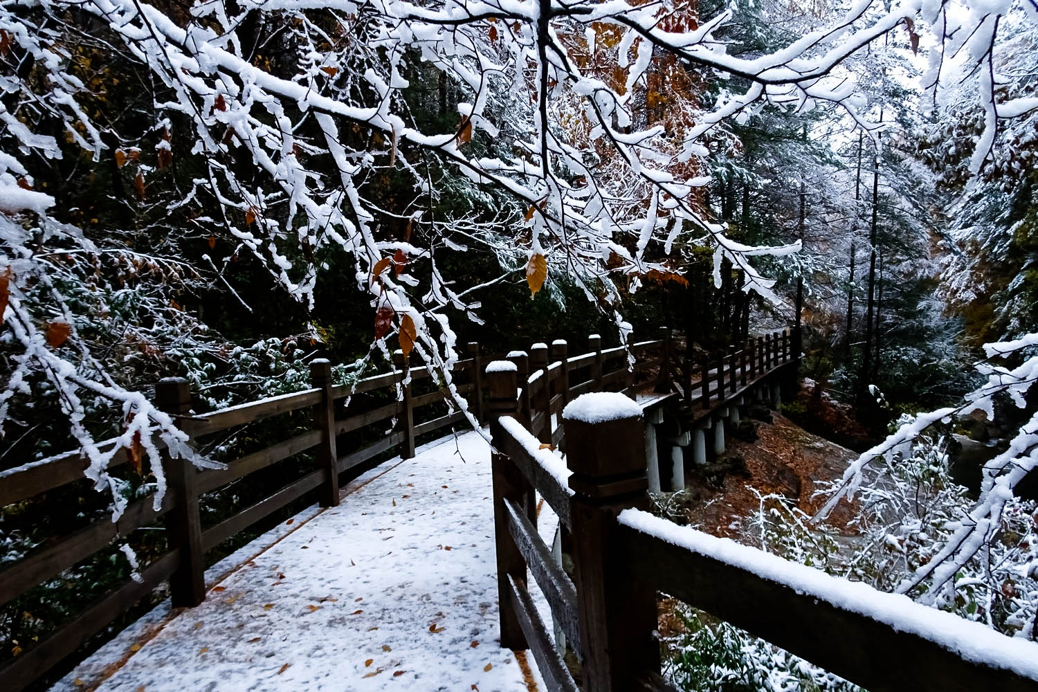 【自駕遊】光霧山十八月潭雪景