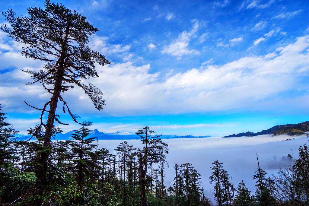 四川雅安天全县光头山风光