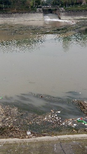 府南河污染状况图片