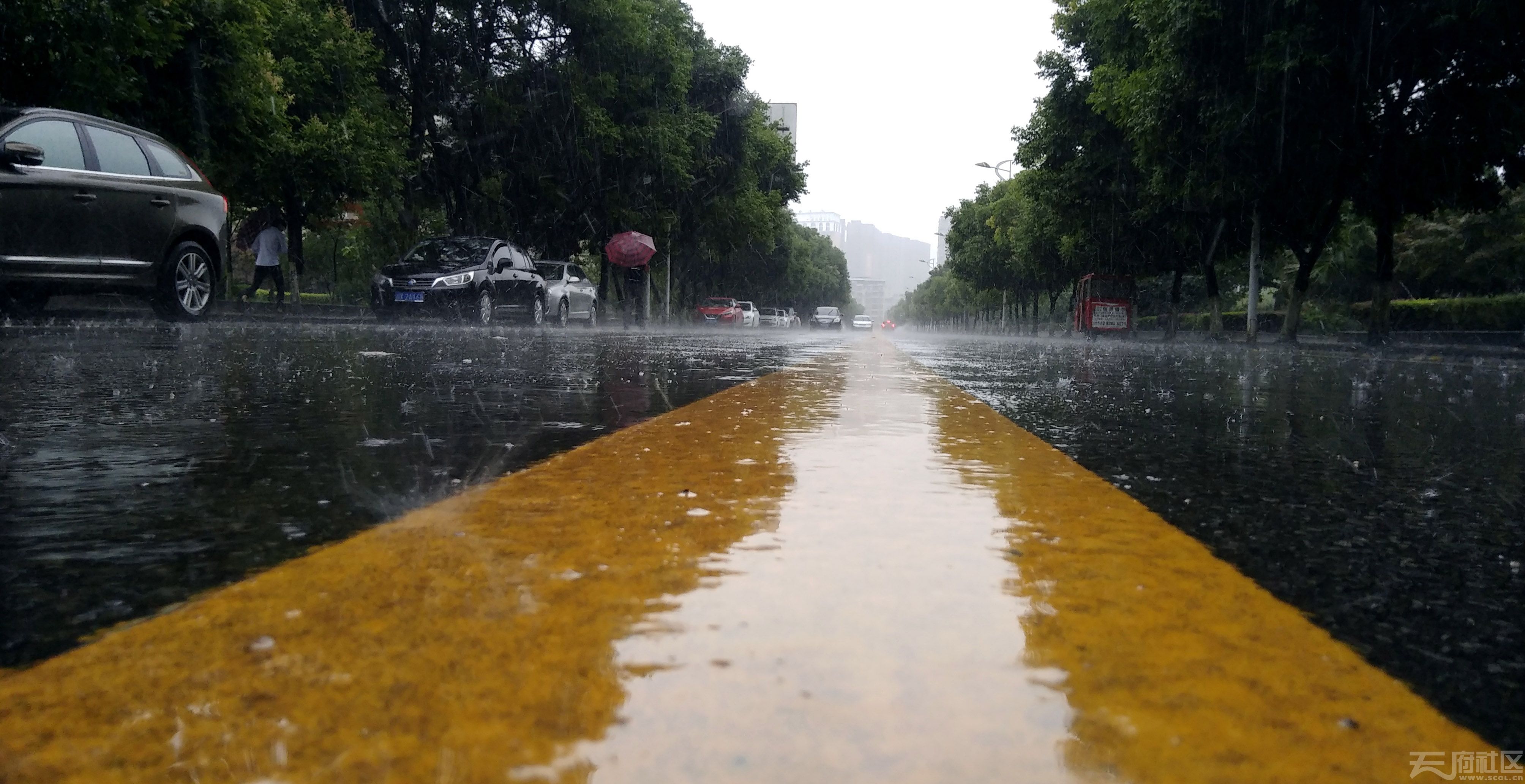 下雨照片真实图美景图片