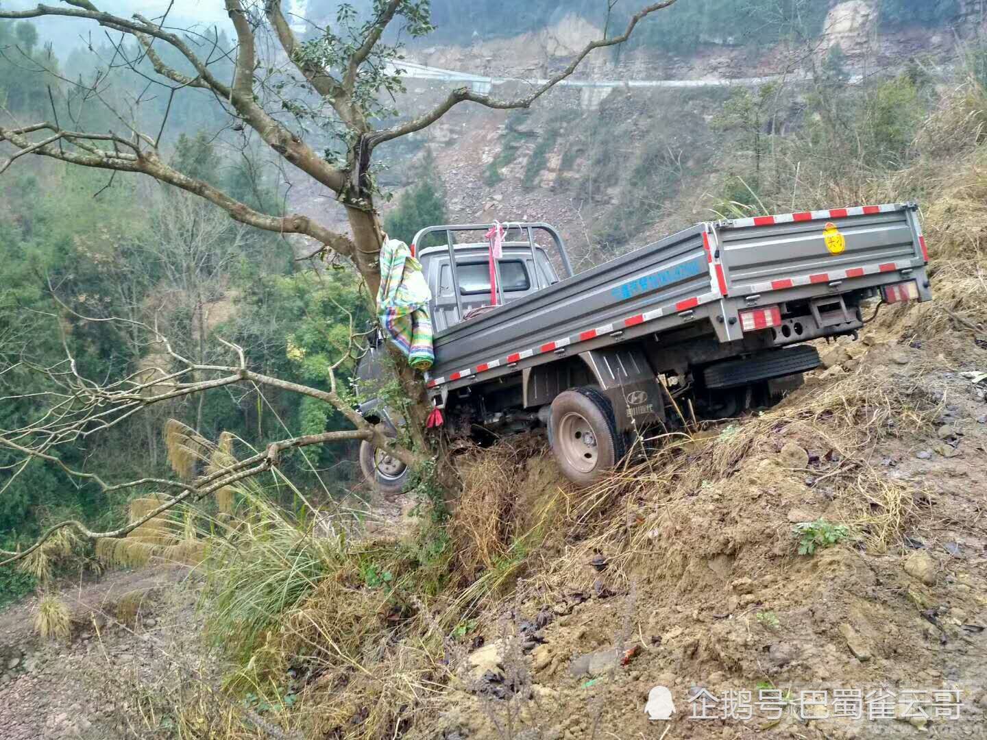 发生一起事故,一辆小货车突然失控,在坠崖最后关头,被一棵小树挡住