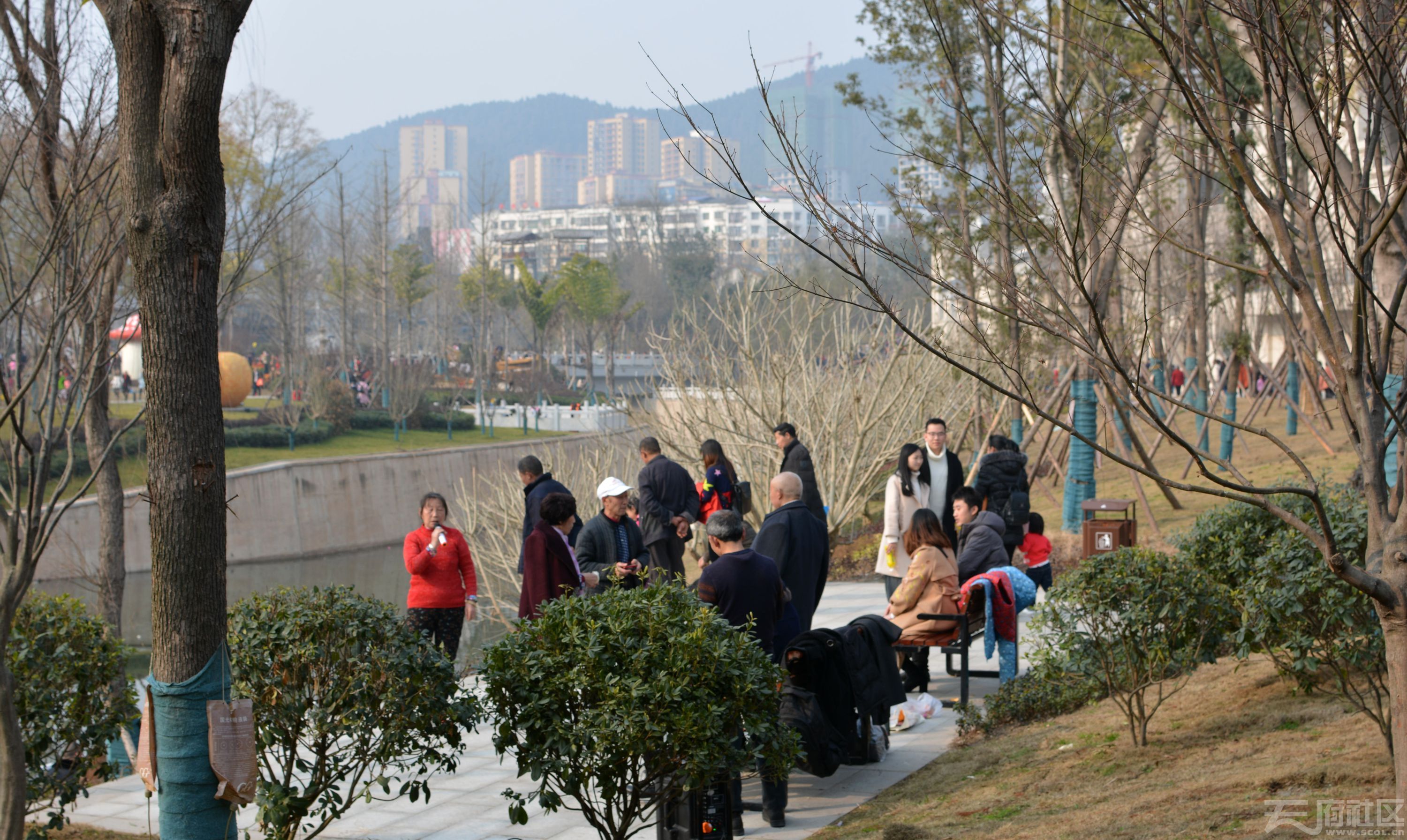 春节期间的射洪紫云文化公园图片一二张