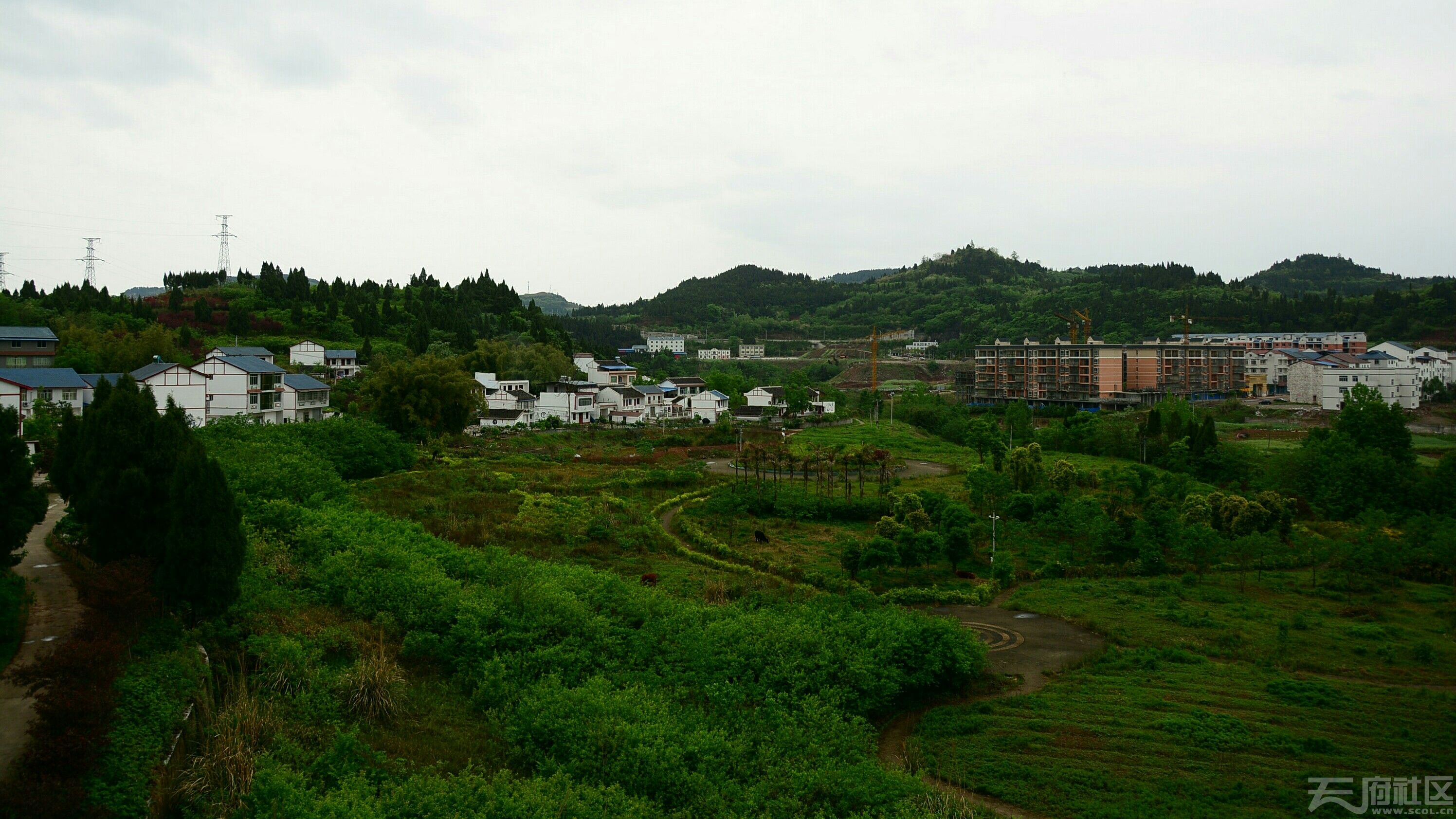 南充市高坪區闕家鎮部分角度