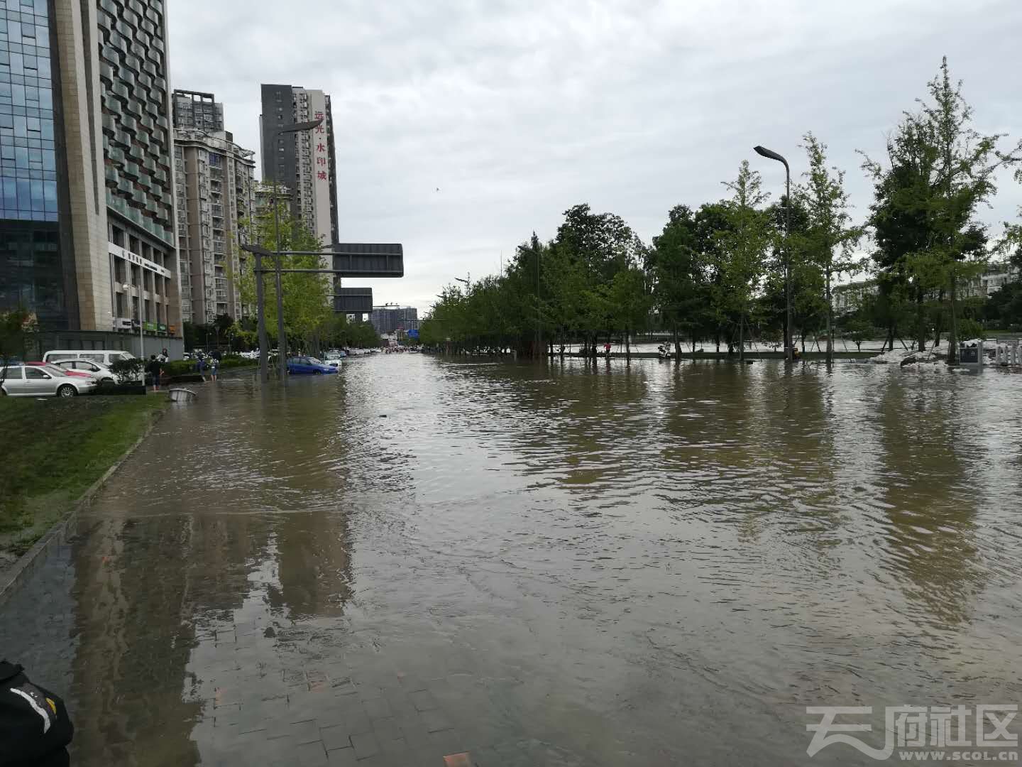 今年成都华阳的洪水可以和1981年比了,几十年了没有看过府河发这么大