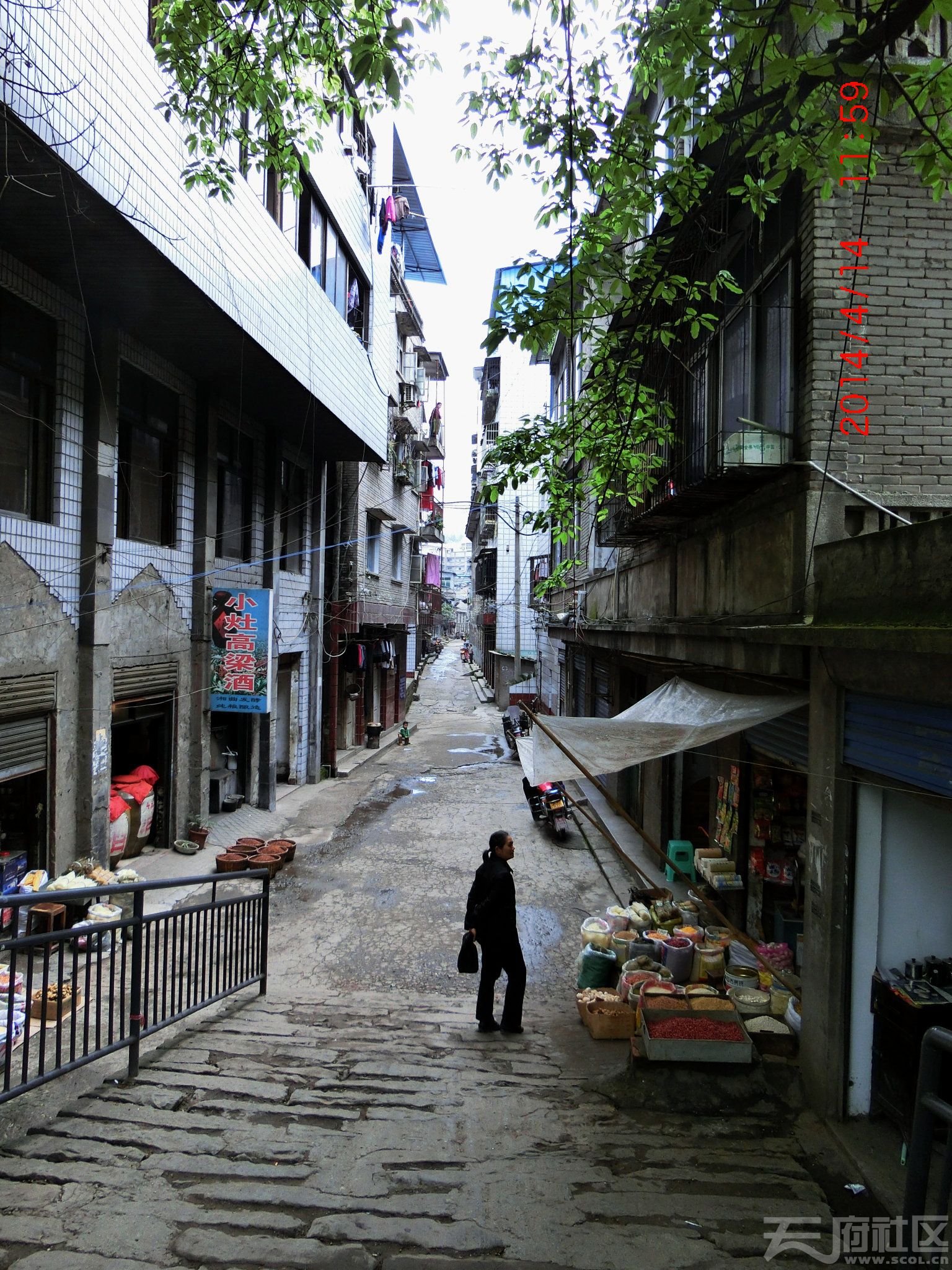 萬州五橋