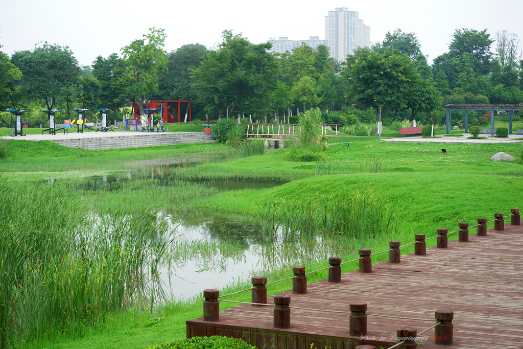 郫县清水河公园图片