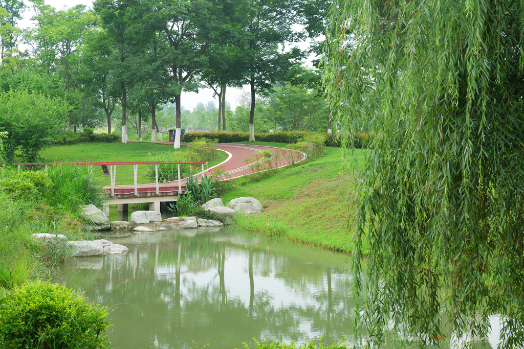 郫县清水河公园图片