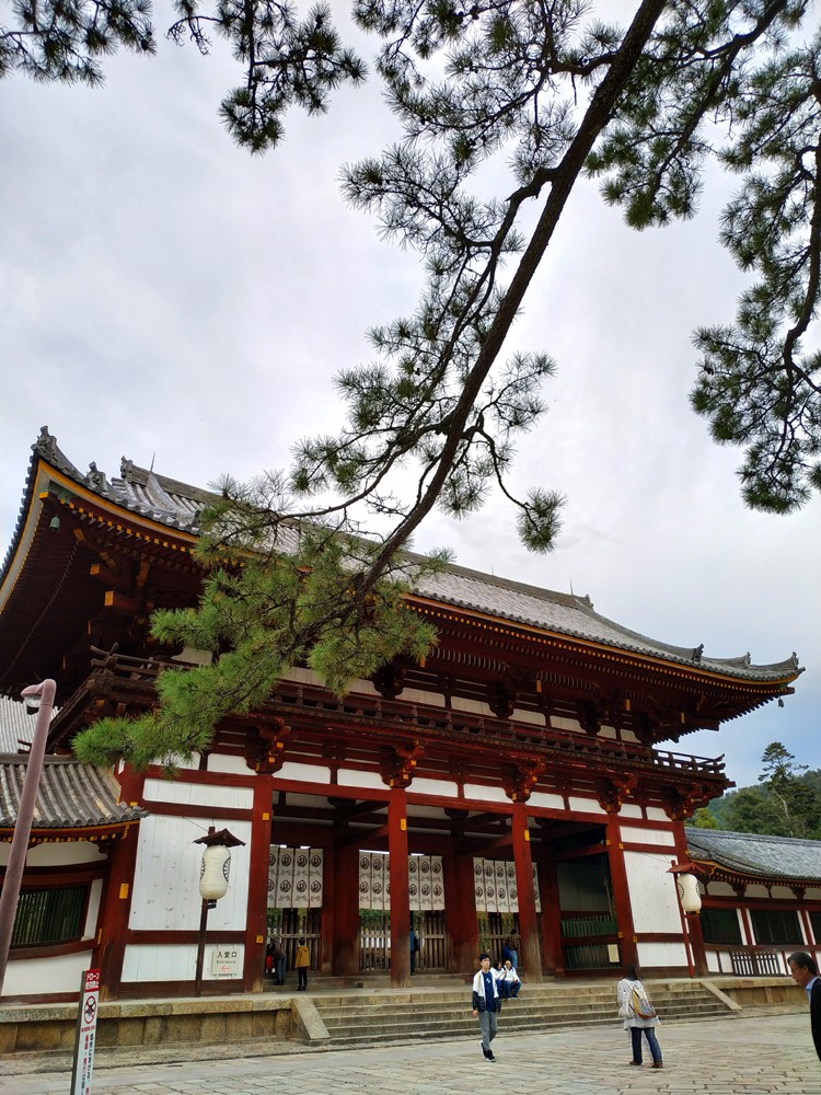 世界最大的木造建筑 东大寺 奈良 天府旅游 天府社区