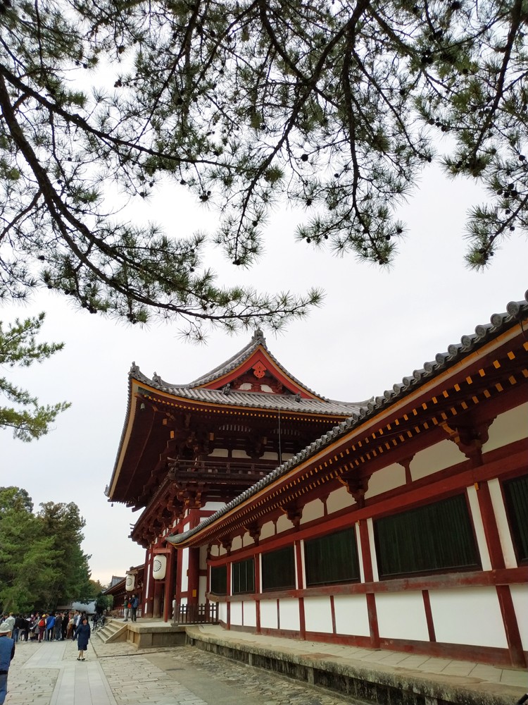 世界最大的木造建筑 东大寺 奈良 天府旅游 天府社区