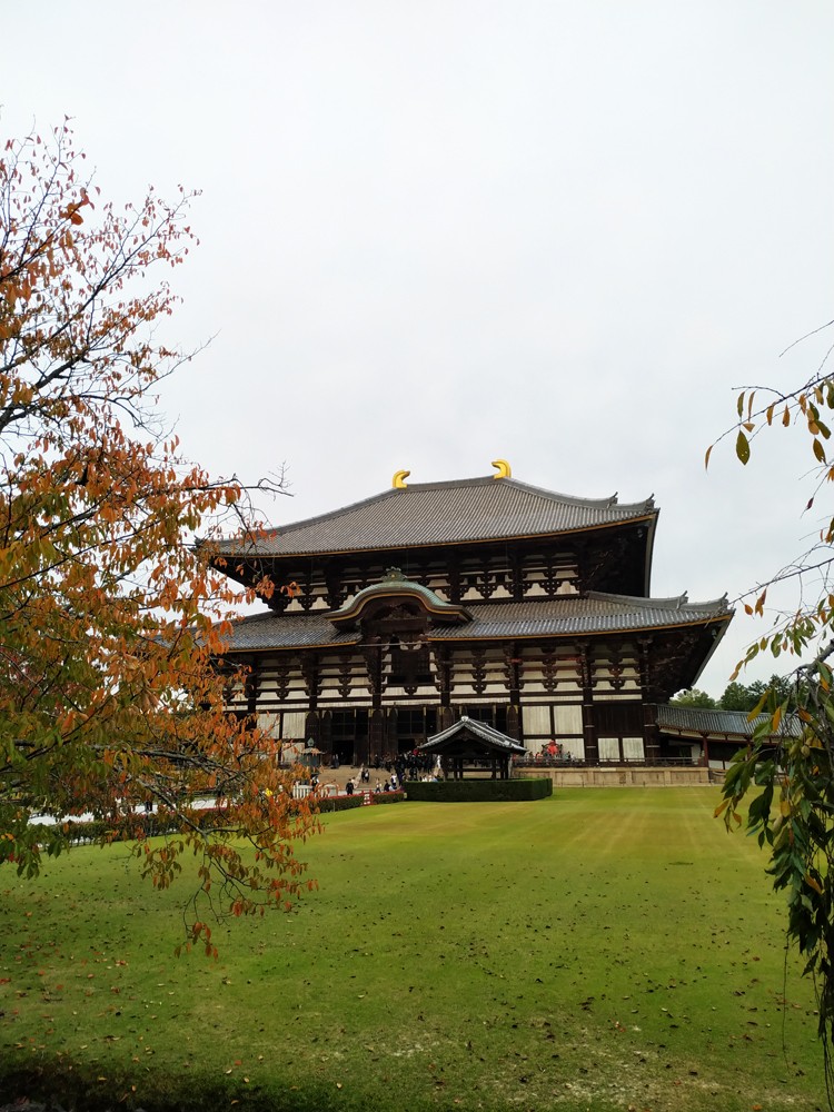 世界最大的木造建筑 东大寺 奈良 天府旅游 天府社区