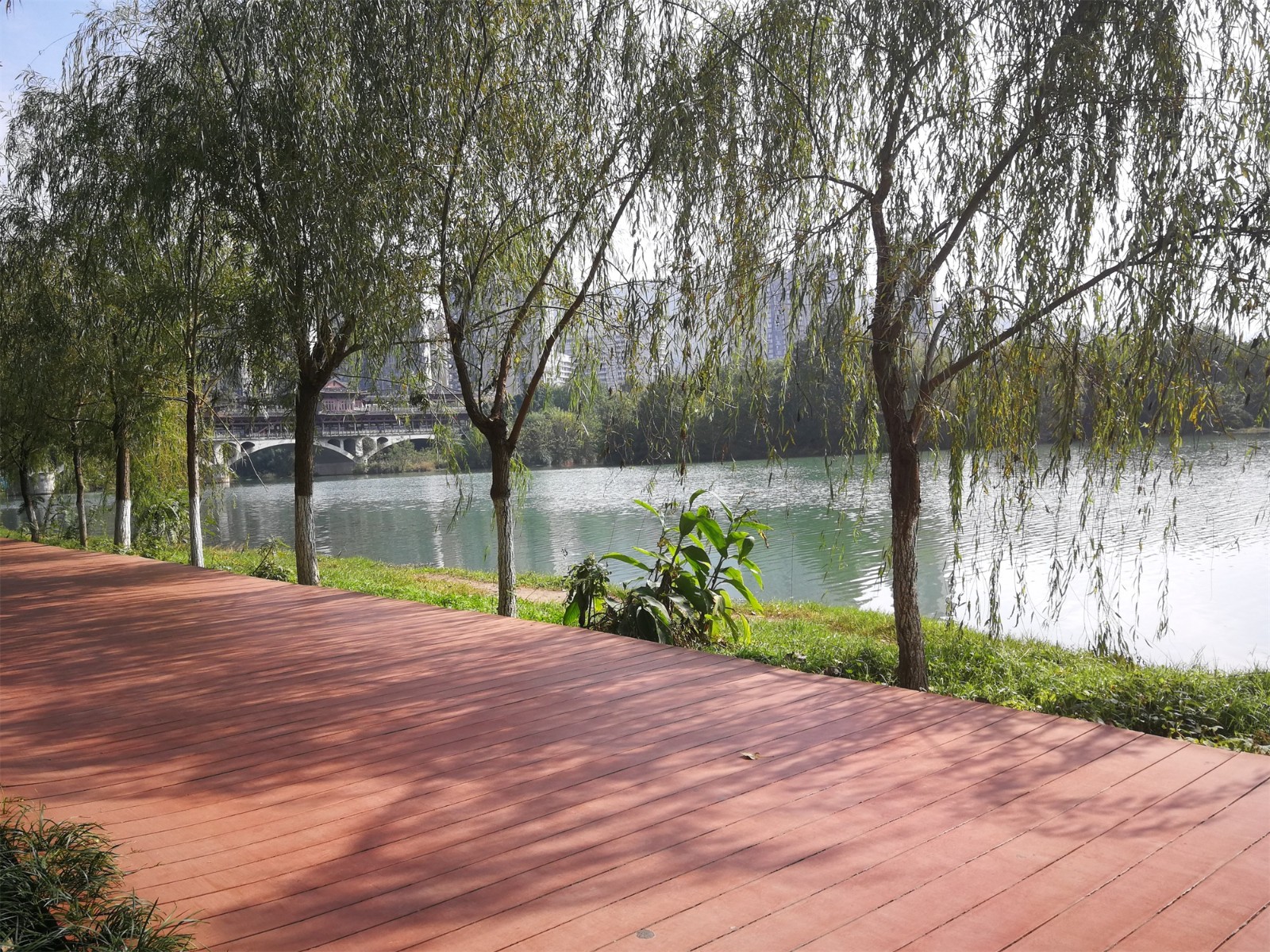 幸福的广元，湿地公园就在家门前_搜狐旅游_搜狐网