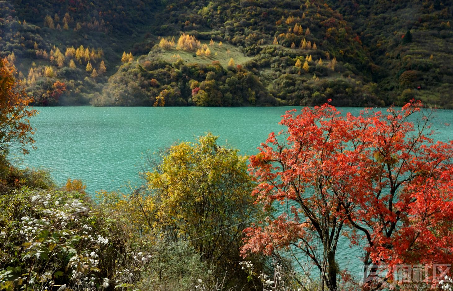 秋天的平天湖图片