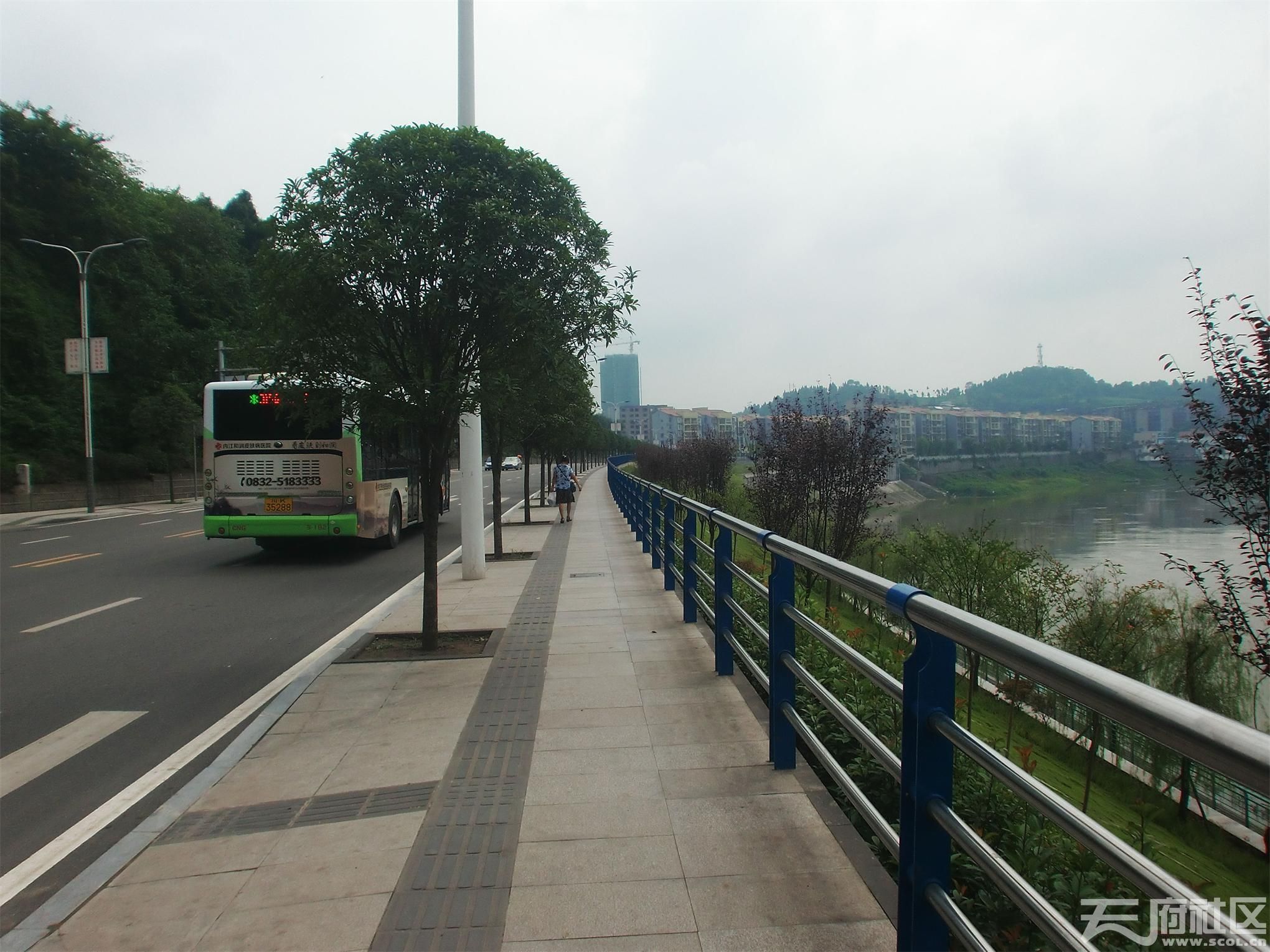 内江水心坝大桥及连接线项目规划设计方案