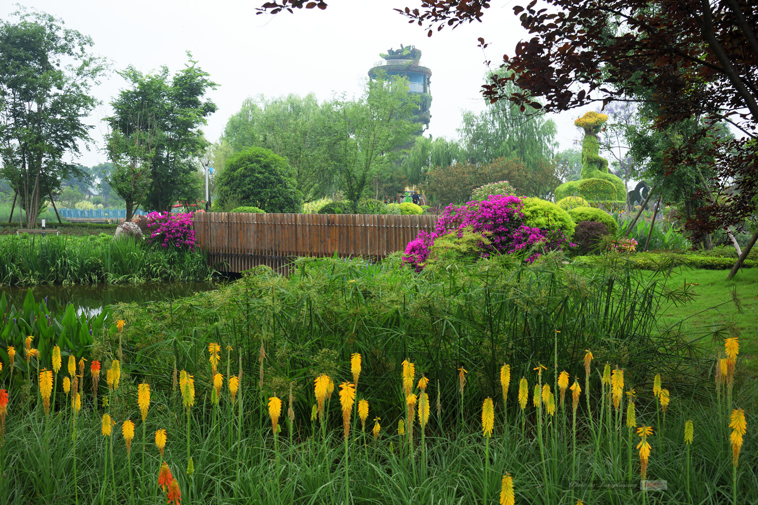 安仁花卉公园图片