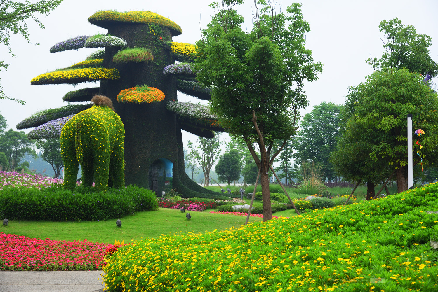 大邑植物园图片