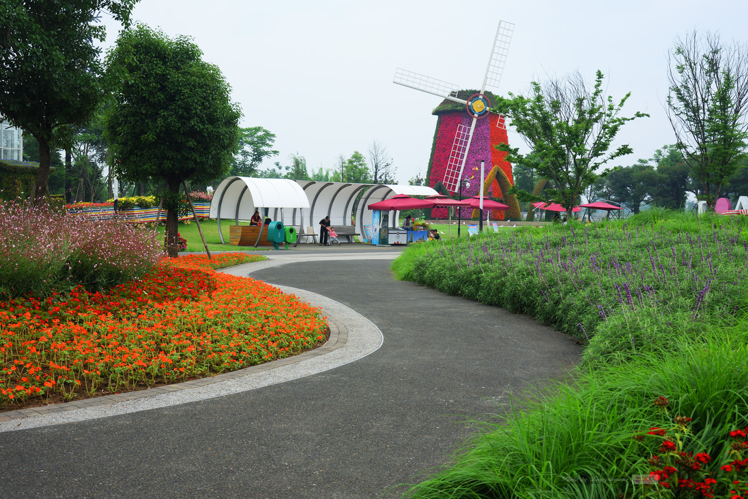 安仁花卉公园图片