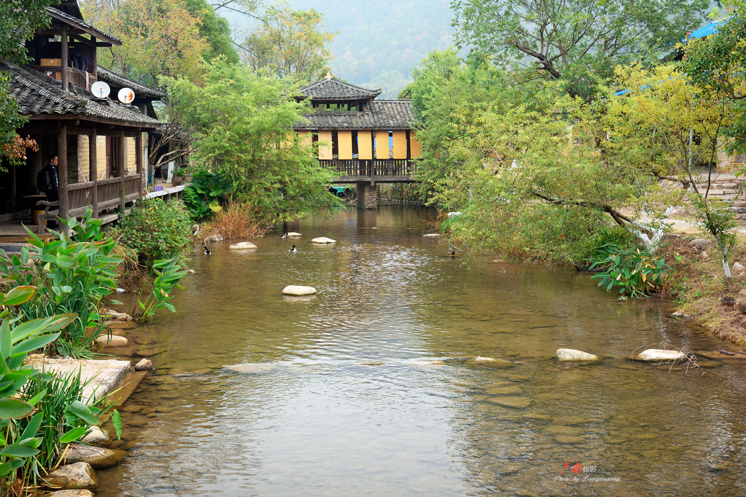 广西东村图片