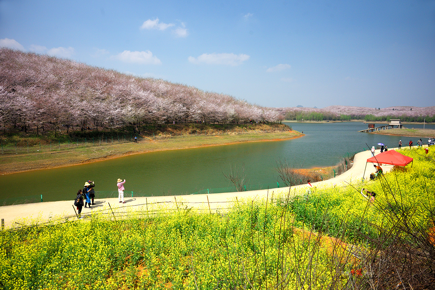 【组图】贵州:红枫湖平坝樱花园掠影(3)