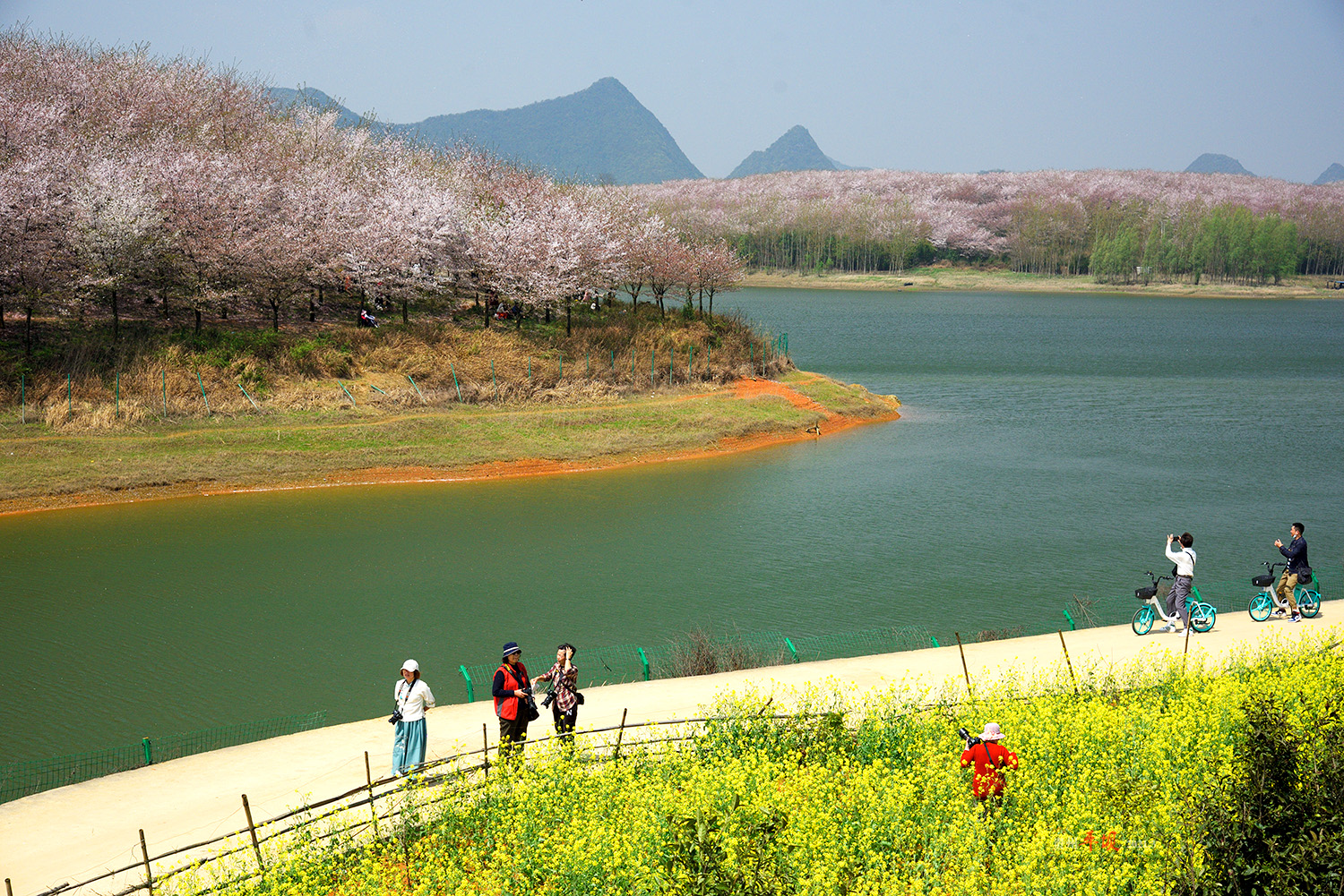 红枫湖风景区(红枫湖风景区介绍资料)