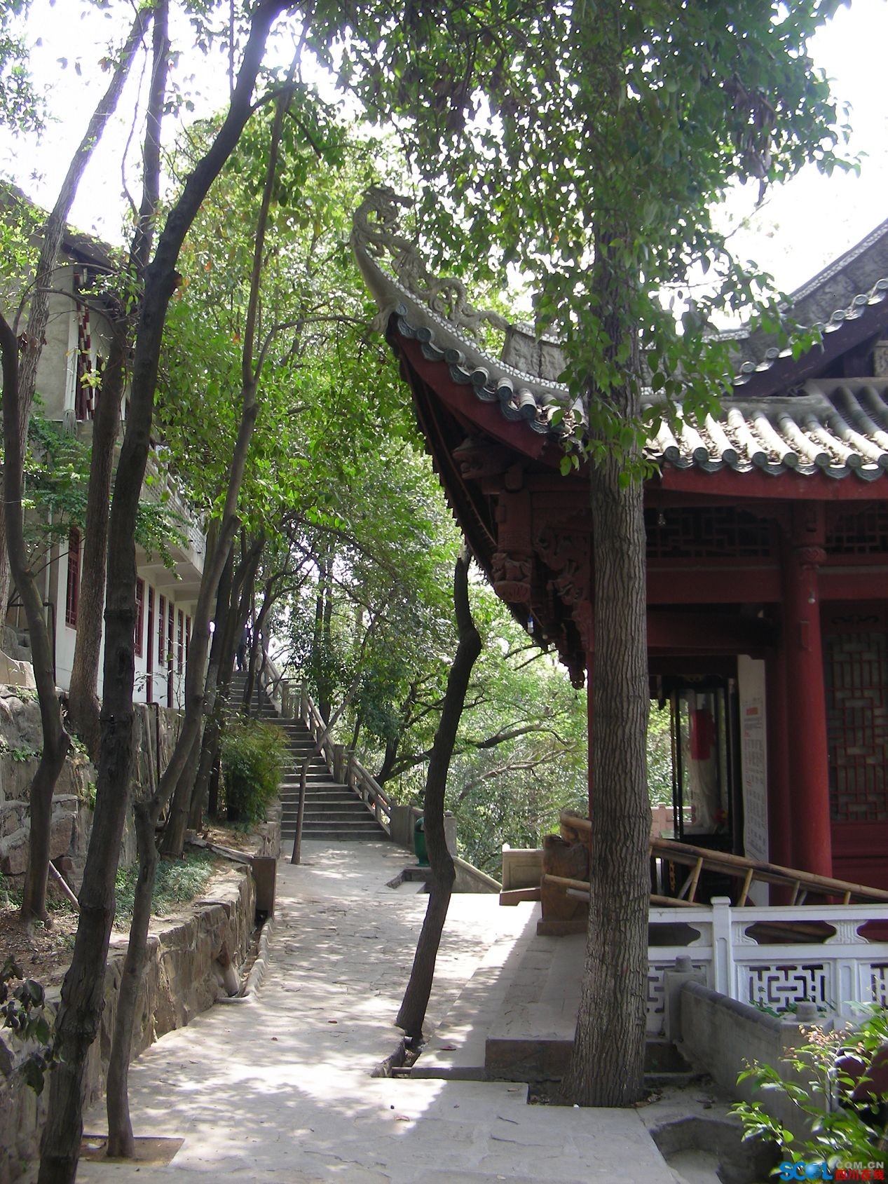 【原创】绵阳城区中心涪江岸边寺庙园林风景—碧水寺